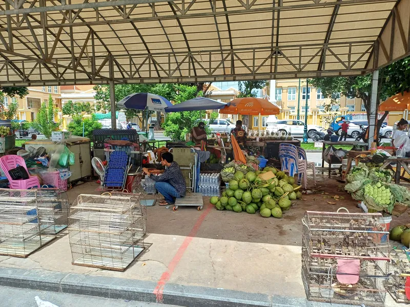 Überdachter Straßenmarkt in Phnom Penh mit Kokosnüssen, Gemüse und Geflügelkäfigen
