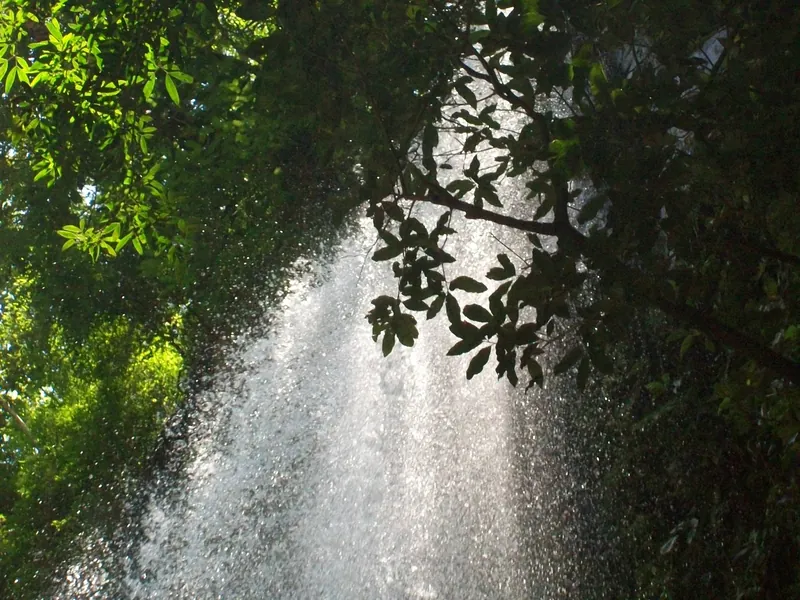 Upper part of the Catarata Los Ángeles waterfall in Atenas canton