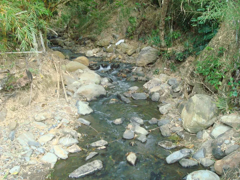 The Río Agres in Escazú at low water at the end of the dry season