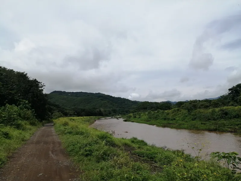 Río Nosara mit hohem, trübem Wasserstand in der Regenzeit, daneben eine unbefestigte Piste