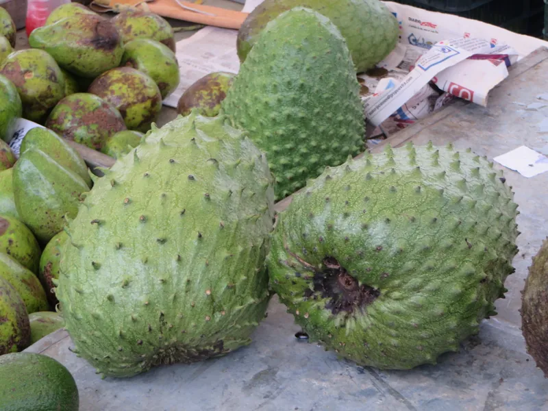 Guanábana und Avocados auf der Feria del Agricultor (Bauernmarkt) im Kanton Goicoechea, San José