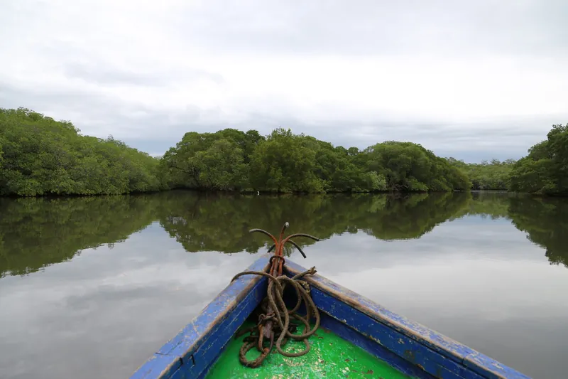 Bootstour durch die Mangrovenkanäle im Nationalpark Las Baulas bei Tamarindo