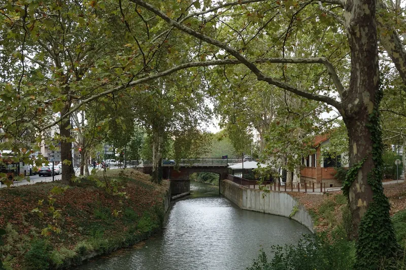 Schleuse Matabiau am Canal du Midi in Toulouse unter herbstlichen Platanen