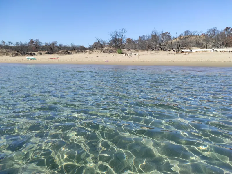 Verkohlte Bäume direkt am Glystra Beach auf Rhodos im September 2023 nach den Waldbränden vom Juli 2023