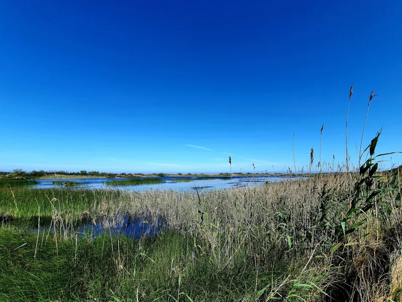 Küstensee im Naturreservat Le Cesine bei Vernole in der Provinz Lecce