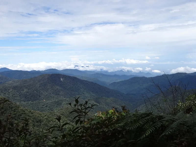 Blick vom Mossy Forest am Gunung Brinchang über die bewaldete Titiwangsa-Kette