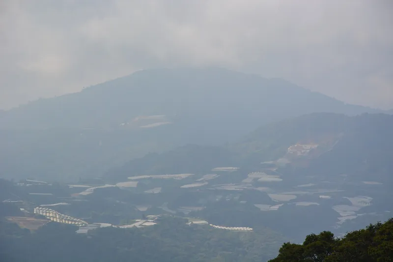 Folientunnel und Gewächshäuser des Erdbeer- und Gemüseanbaus überziehen die Hänge der Cameron Highlands (die Ausdehnung der Plantagen gilt als Hauptursache für Erosion und Wasserprobleme)