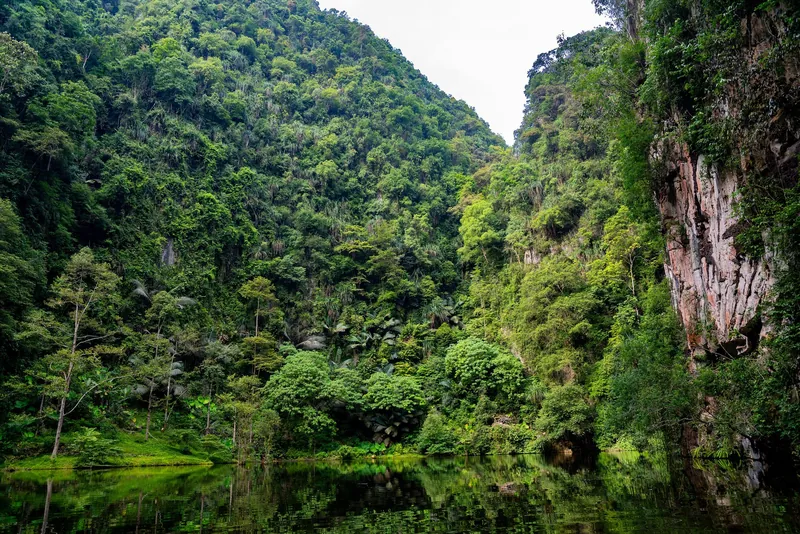 Kalksteinwände und Regenwald am Spiegelsee Tasik Cermin 2 bei Ipoh