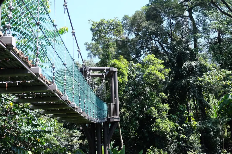 Hängebrücke des Canopy Walk im Regenwaldreservat KL Forest Eco Park (Bukit Nanas) in Kuala Lumpur