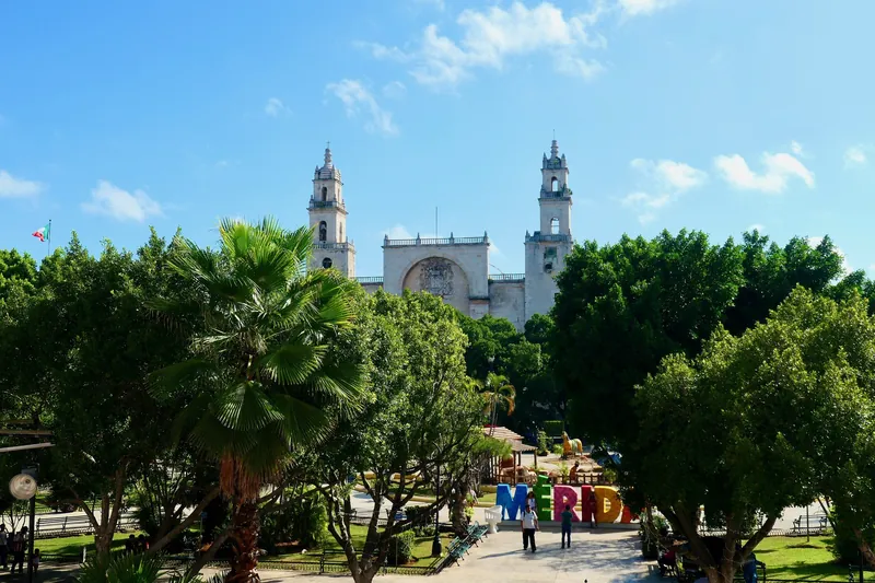 Plaza Grande von Mérida mit Bäumen und der Kathedrale San Ildefonso im Hintergrund