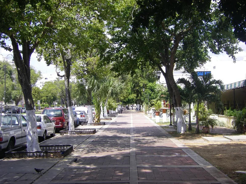 Baumbestandene Fußgängerpromenade auf dem Prachtboulevard Paseo de Montejo in Mérida
