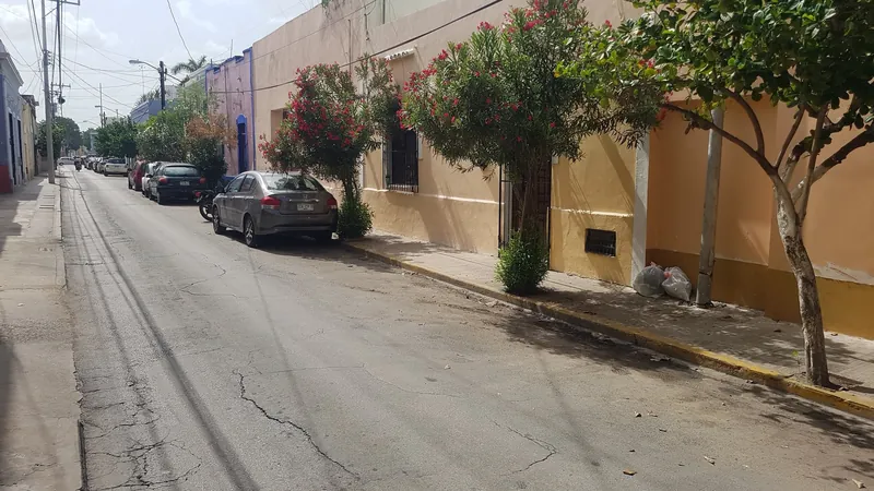 Ruhige Wohnstraße mit parkenden Autos und blühenden Oleanderbäumen in Mérida