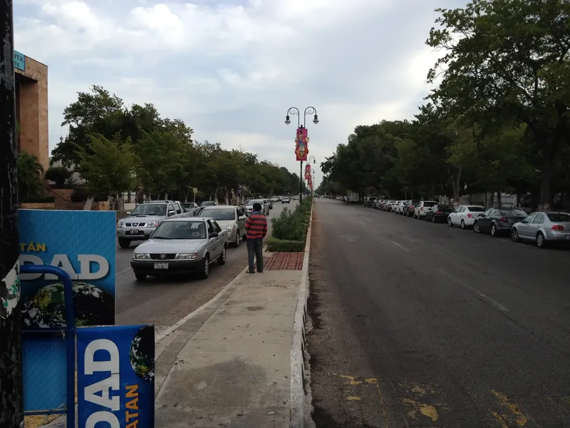 Autoverkehr und Parkstreifen auf dem Paseo de Montejo in Mérida