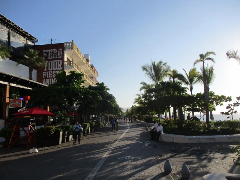 Uferpromenade Malecón von Puerto Vallarta mit Palmen, Lokalen und Radweg