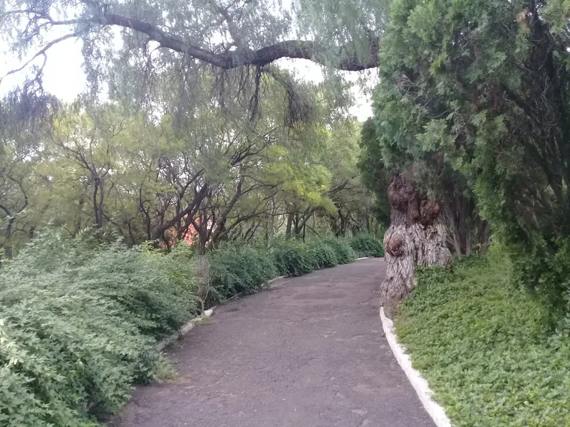 Wooded path in Cerro de las Campanas park in Querétaro