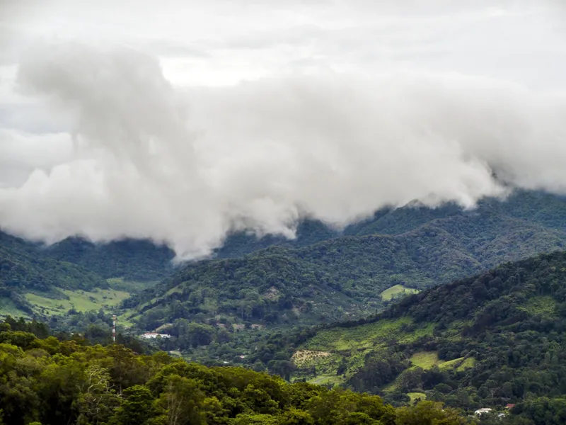Wolken ziehen über den Bergnebelwald der Cordillera Central bei Boquete