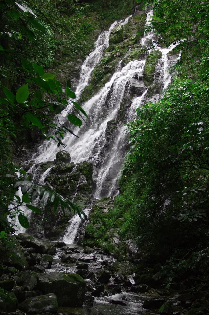 Wasserfall Chorro El Macho im Regenwald bei El Valle de Antón