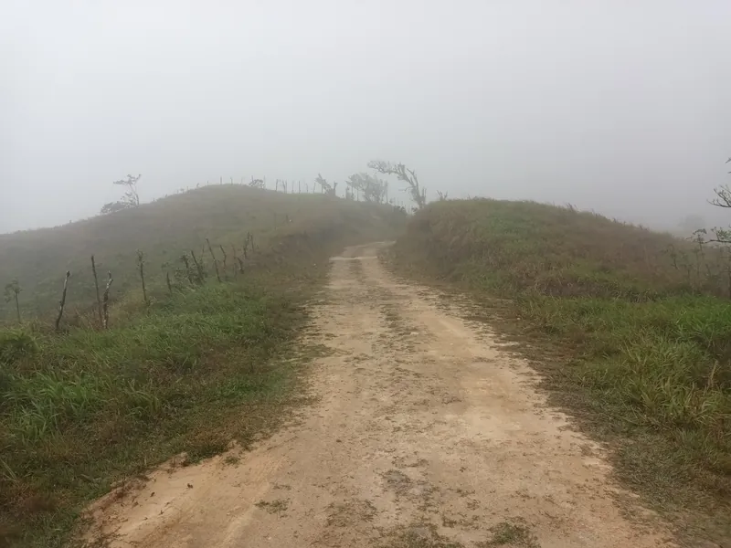 Dichter Morgennebel über einer unbefestigten Piste am Kraterrand von El Valle de Antón (der Talkessel liegt auf rund 600 m und liegt häufig in Wolken)