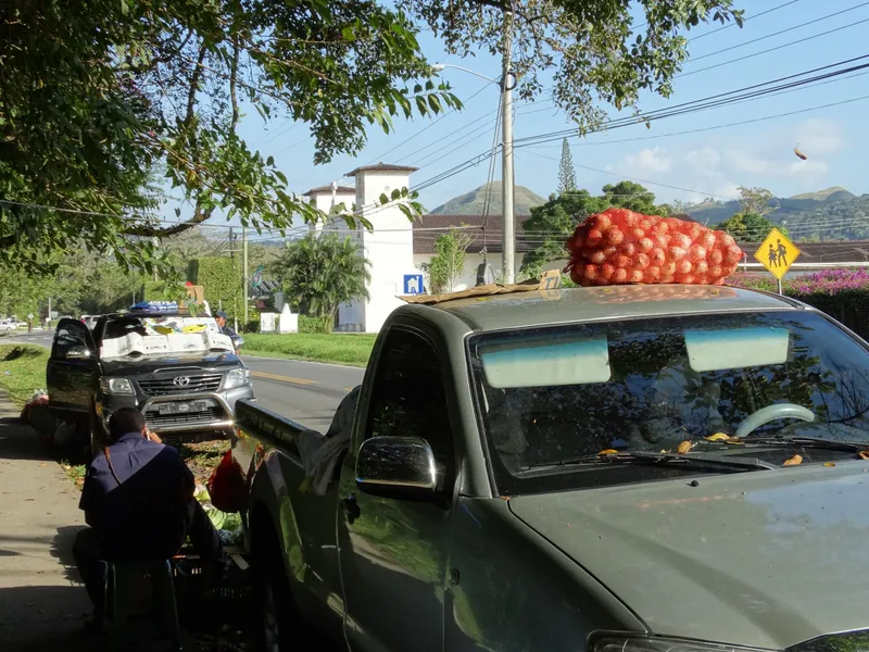 Pickup mit Zwiebelsäcken als Straßenverkauf in El Valle de Antón