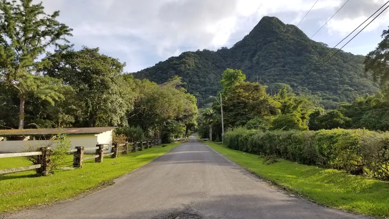 Zufahrtsstraße nach El Valle de Antón mit dem bewaldeten Kraterrand im Hintergrund