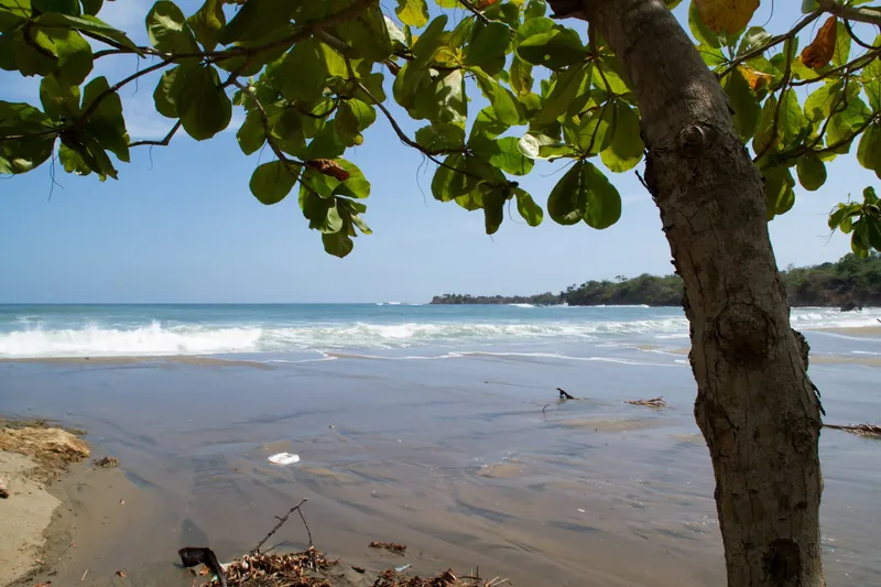 Playa Iguanita bei Pedasí mit Brandung und Küstenwald