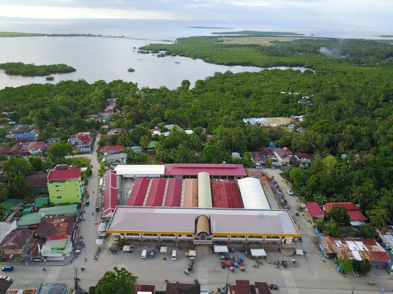 Aerial view of the public market in Calape, Bohol, with the market street and mangrove coast