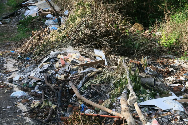 An informal roadside dump of plastic, sheet metal and cut vegetation on Bohol island in July 2017.