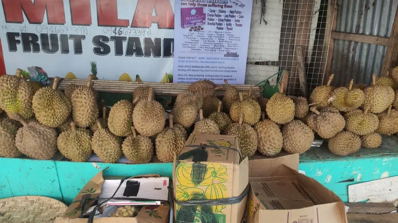 Durian on display at a fruit stall in Davao City