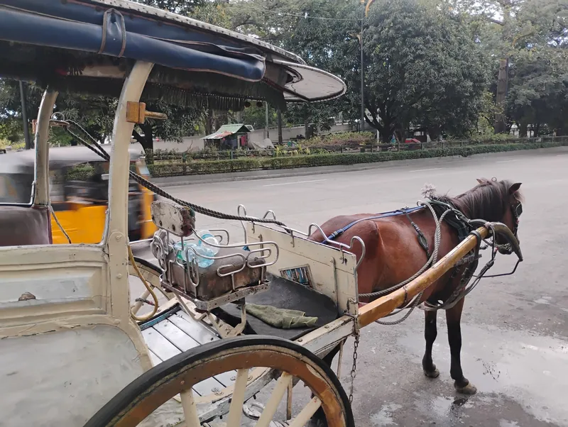 Kalesa (Pferdekutsche) am Straßenrand in Intramuros, Manila
