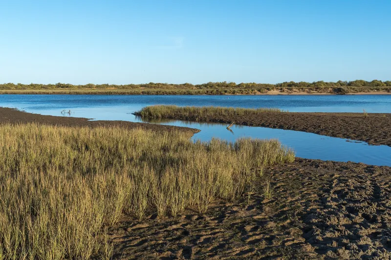 Salzwiesen und Priele der Lagune Ria Formosa bei Cabanas de Tavira