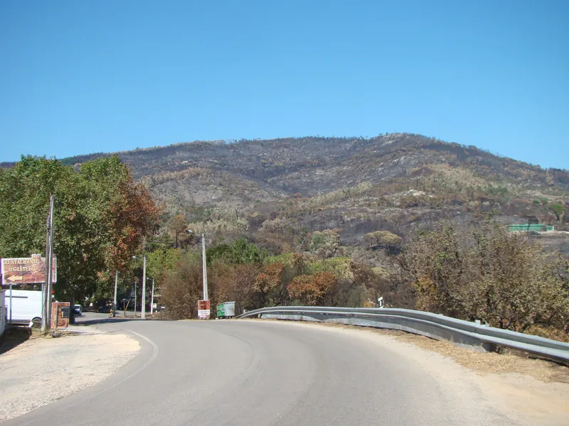 Abgebrannter Berghang bei Monchique nach dem Waldbrand vom 3. bis 10. August 2018, aufgenommen am 14. August 2018