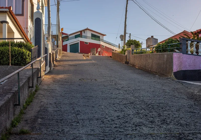 Extrem steile Wohnstraße Caminho da Barreira im Stadtteil Santo António in Funchal (Funchals Hanglage bedeutet Steigungen von über 20 Prozent im Alltag)