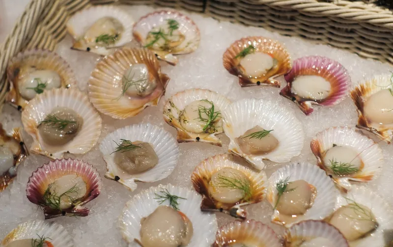 Jakobsmuscheln auf Eis an einem Fischstand im Mercado do Bolhão in Porto