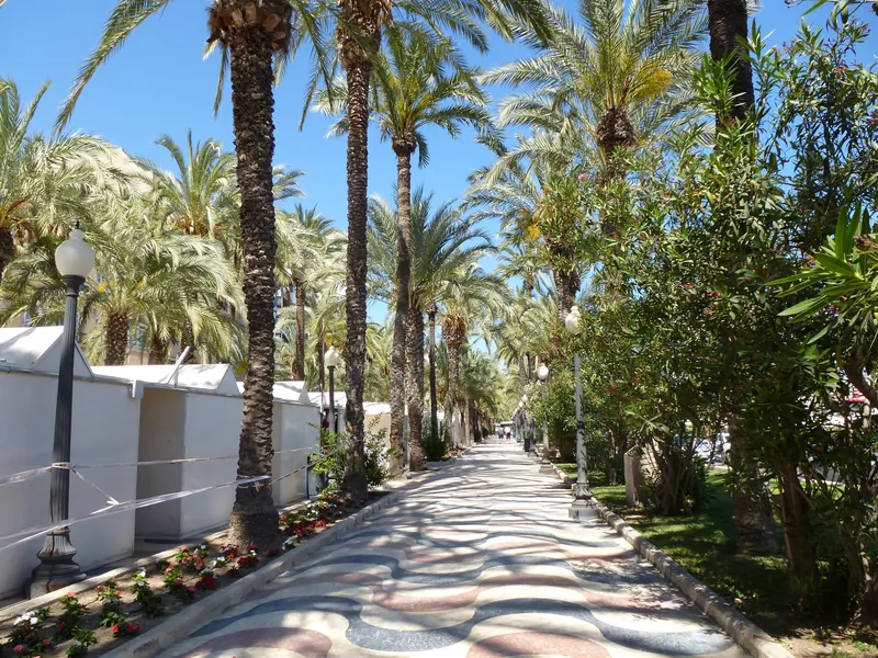 Mosaikpflaster und Palmenallee der Promenade Explanada de España in Alicante