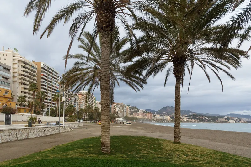 Palmen an der Strandpromenade der Playa de la Malagueta in Málaga