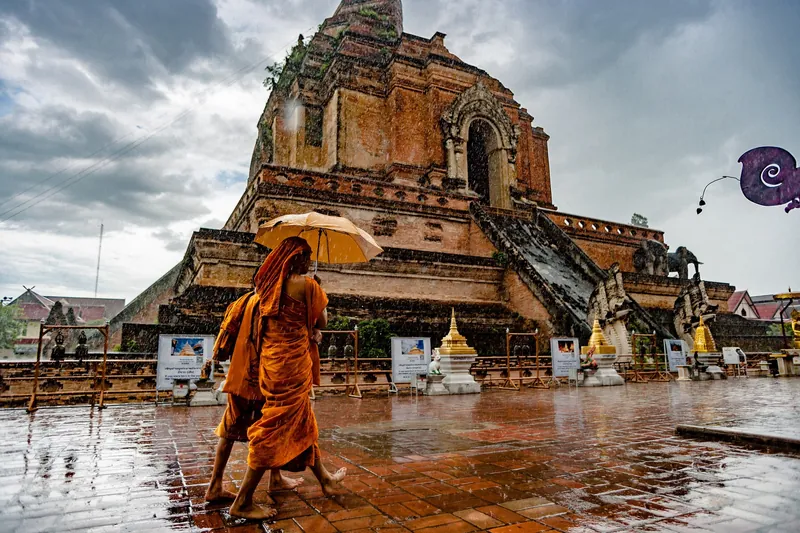 Mönche vor dem Backsteinchedi des Wat Chedi Luang in Chiang Mai bei Regen