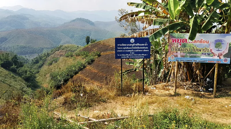 Abgebranntes Feld und Warnschilder gegen Waldbrände im Bezirk Mae Fa Luang, Provinz Chiang Rai (Brandrodungssaison Januar bis April)