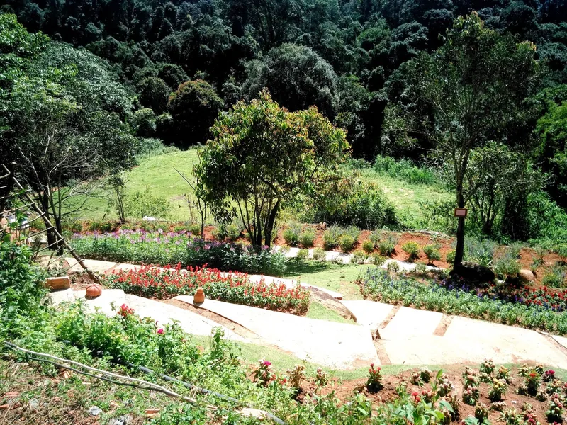 Terrassierte Blumenbeete im Blumendorf von Da Lat vor bewaldeten Hängen