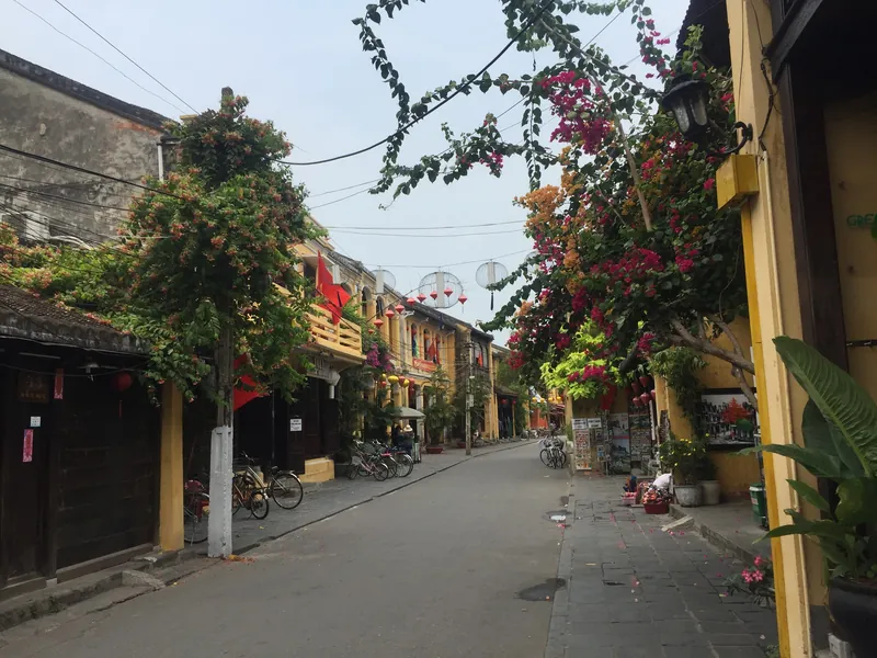 Ruhige Altstadtgasse mit gelben Kaufmannshäusern, abgestellten Fahrrädern und blühender Bougainvillea in Hoi An