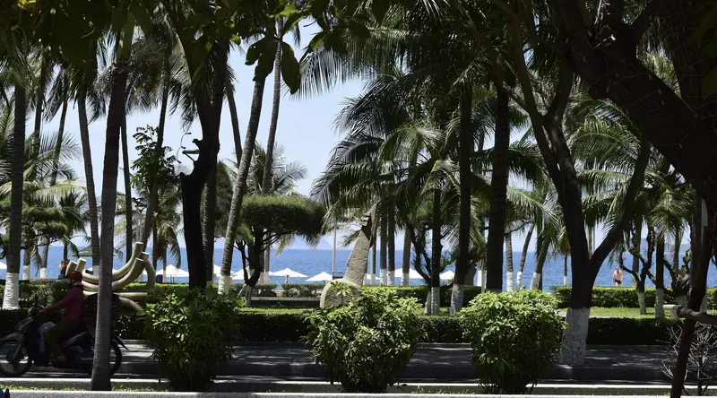 Kokospalmen und Grünanlage zwischen Uferstraße und Meer in Nha Trang