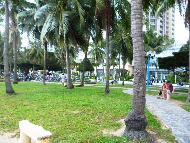 Palm park on the Tran Phu seafront promenade with scooters and high-rises in Nha Trang